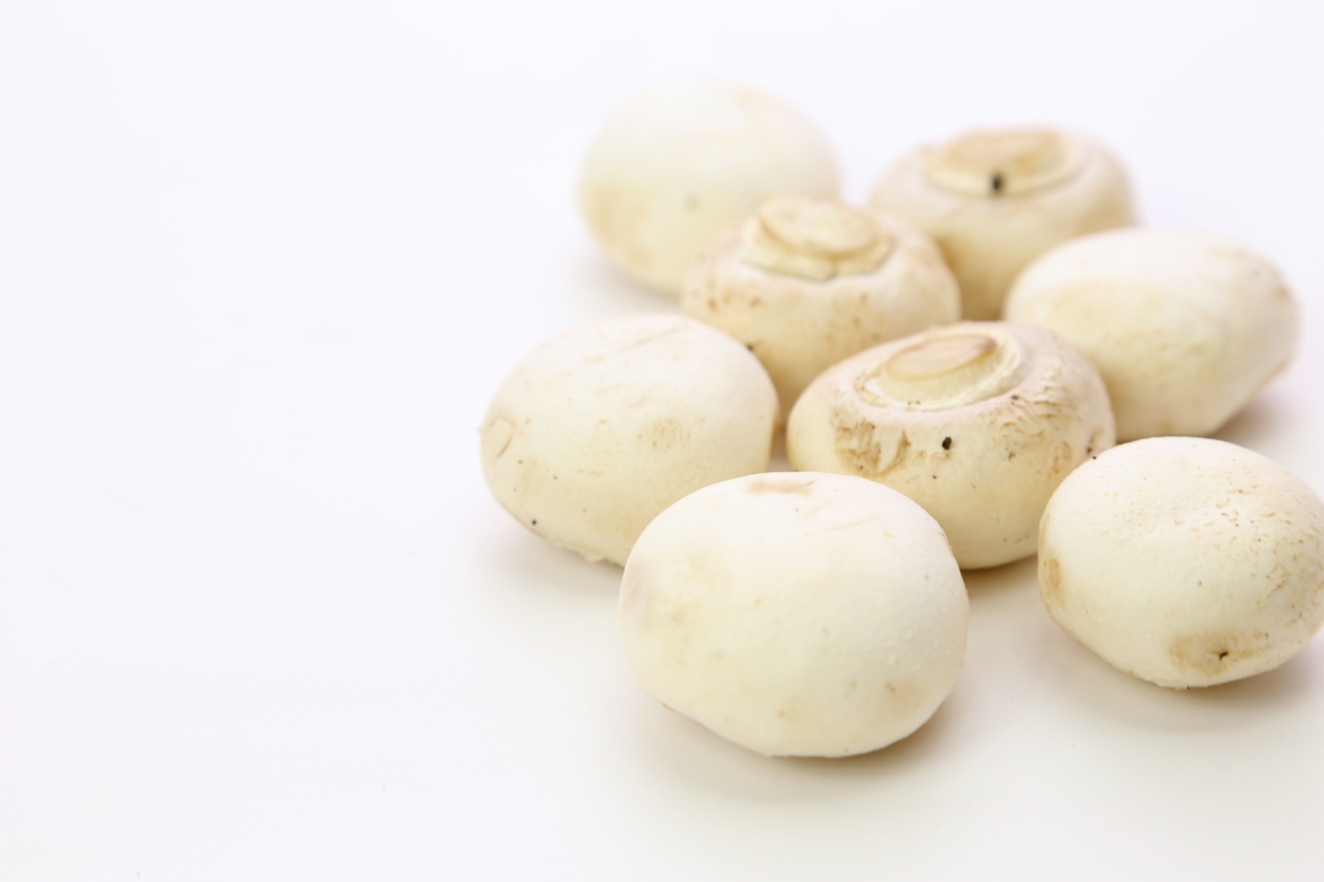 マッシュルーム | しむら青果